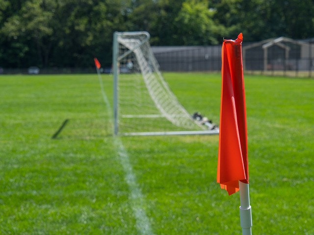 暴力行为受 暴力行为受