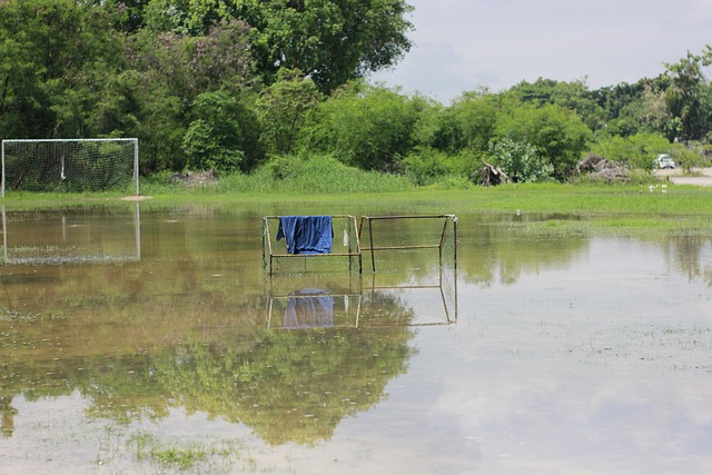 他确实可能 他确实可能