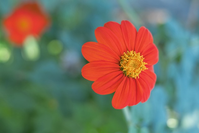 隊伍的跨城 隊伍的跨城